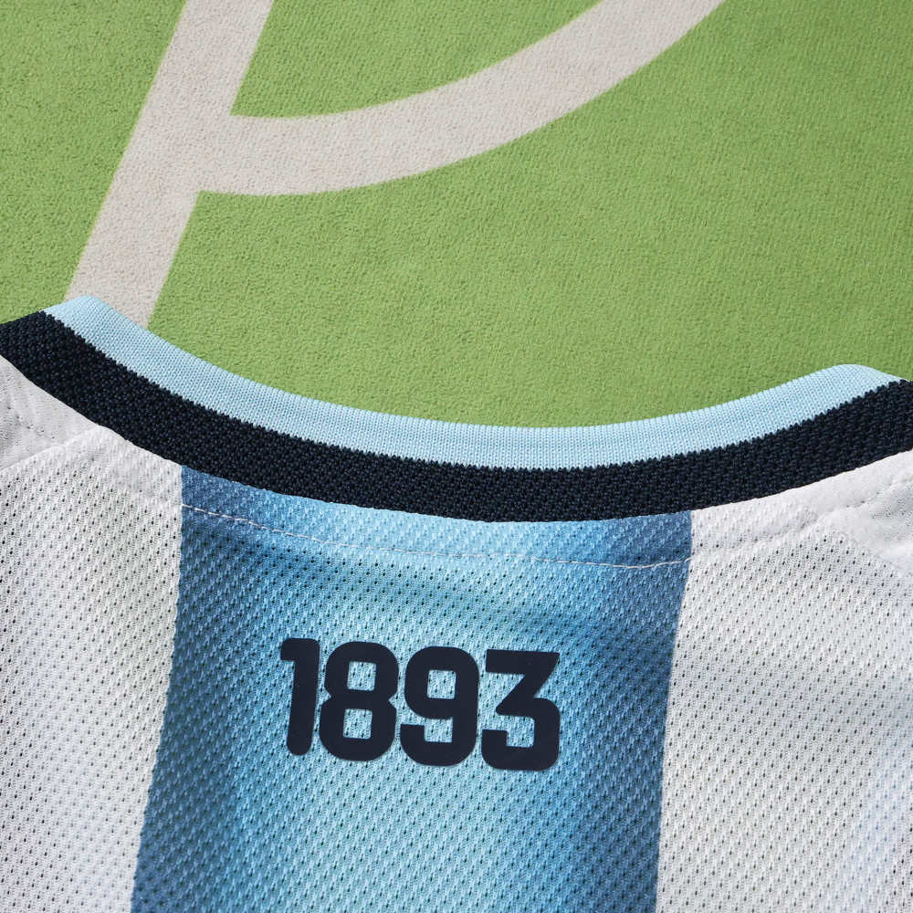 2026 FIFA World Cup Argentina home Embroidery Player version