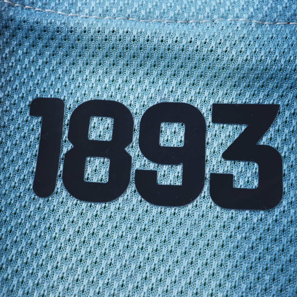 2026 FIFA World Cup Argentina home Embroidery Player version