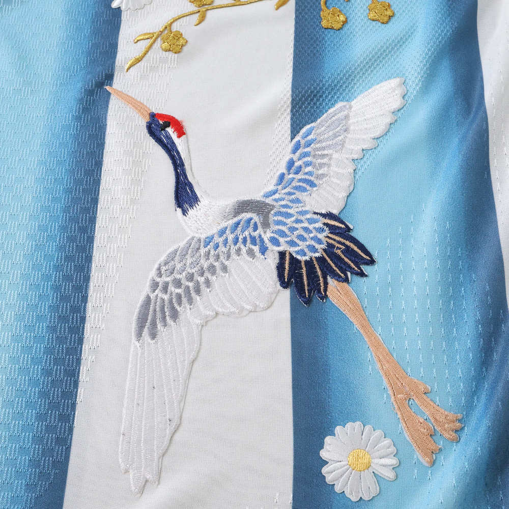 2026 FIFA World Cup Argentina home Embroidery Player version