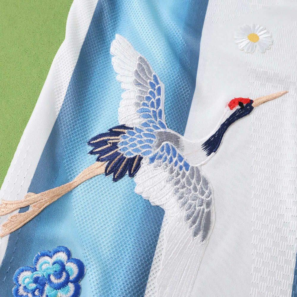2026 FIFA World Cup Argentina home Embroidery Player version