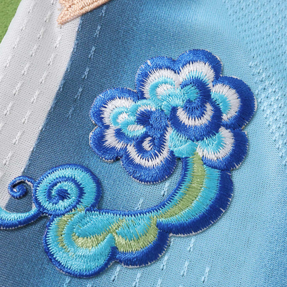 2026 FIFA World Cup Argentina home Embroidery Player version
