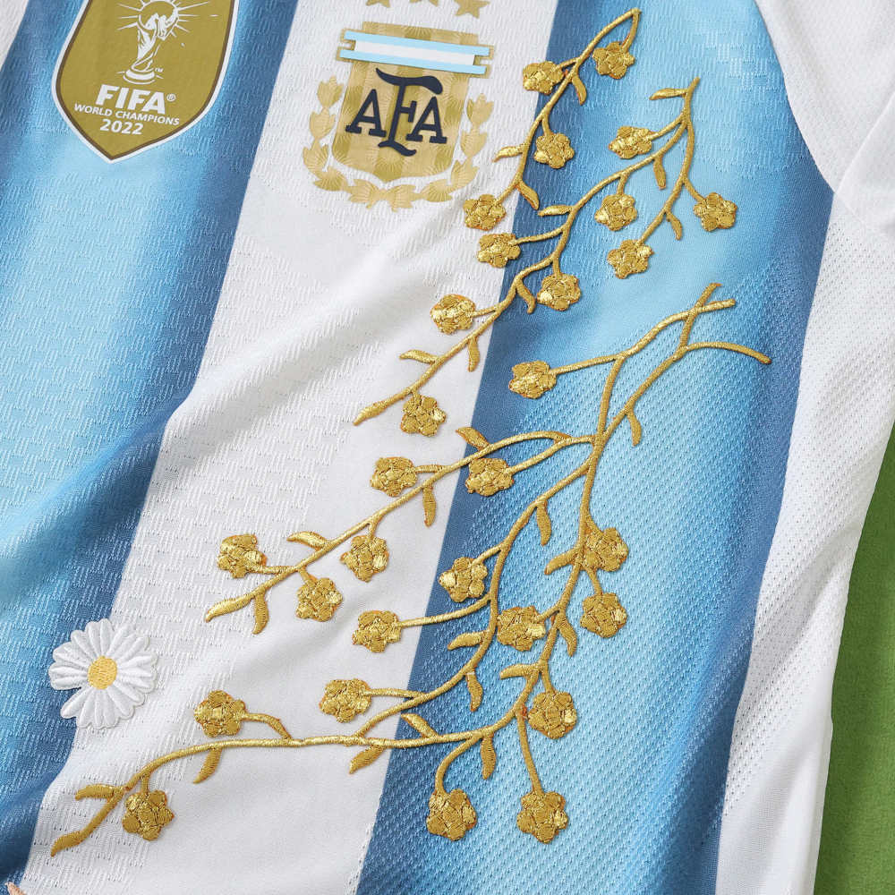 2026 FIFA World Cup Argentina home Embroidery Player version