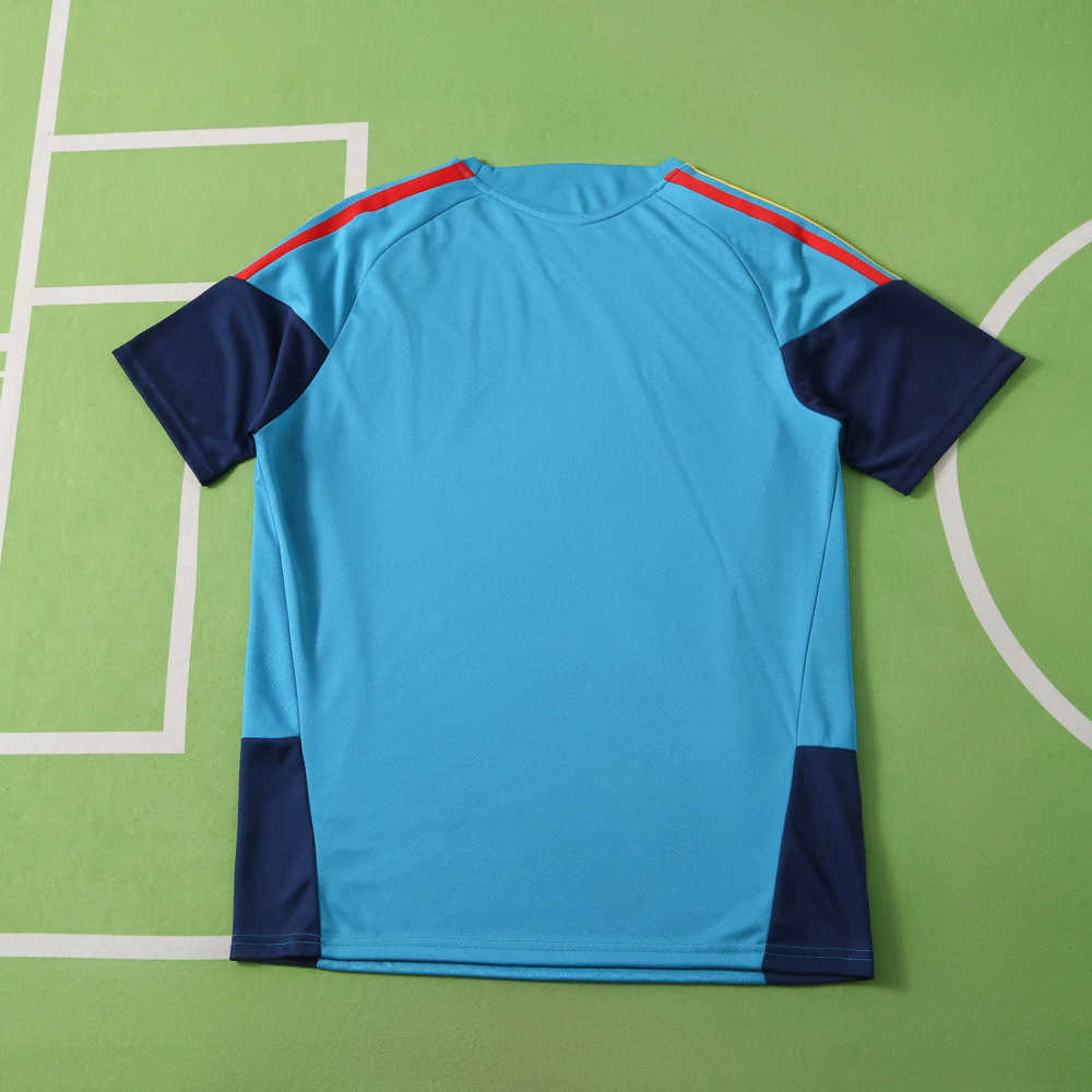 2026 FIFA World Cup Spain Training clothes suit Short sleeve Fan version two star