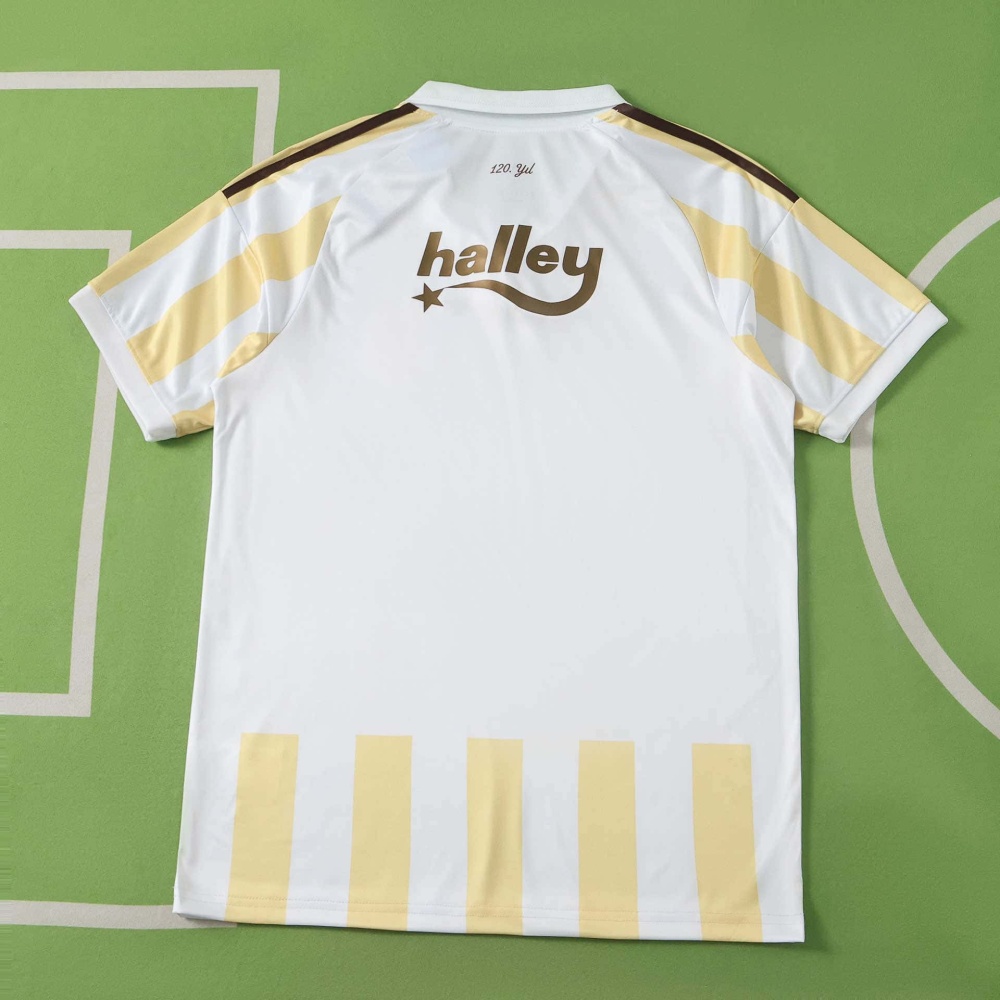 2627 season Fenerbahçe Spor Kulübü away Fan version
