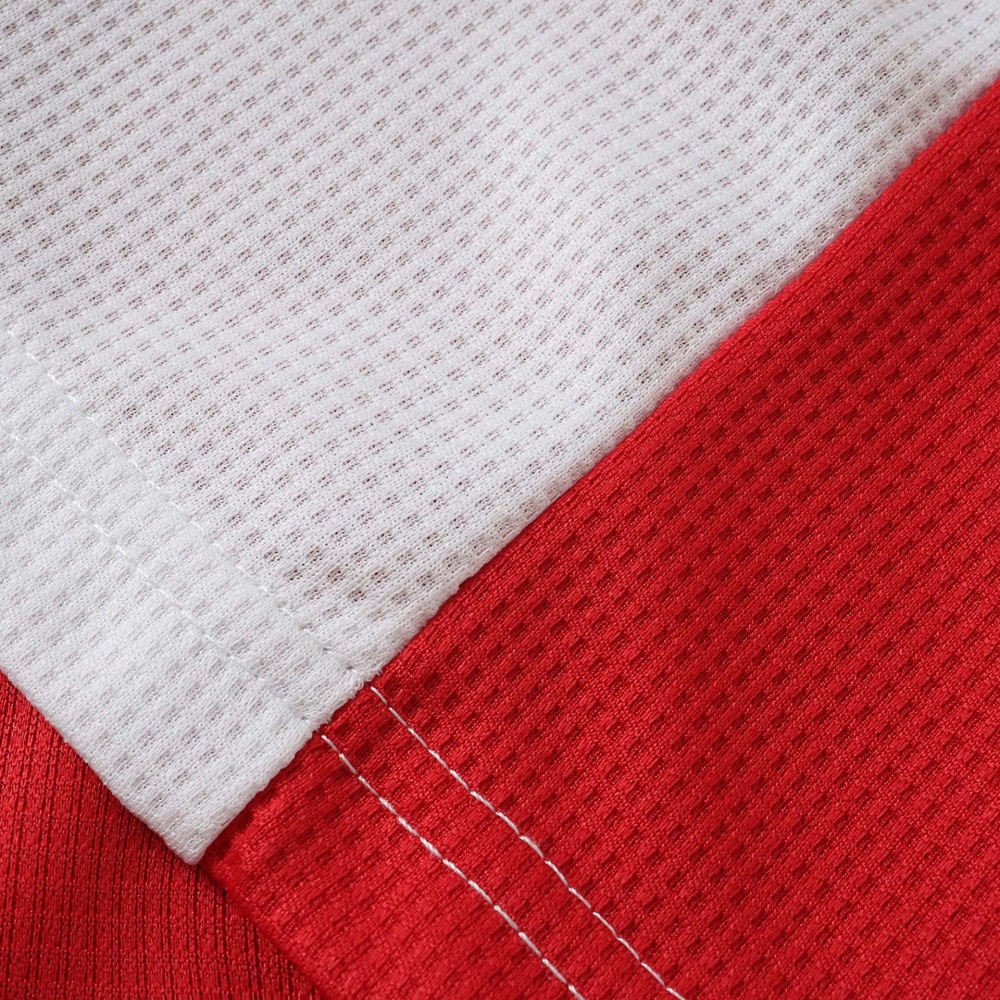 2627 season AFC Ajax home Fan version