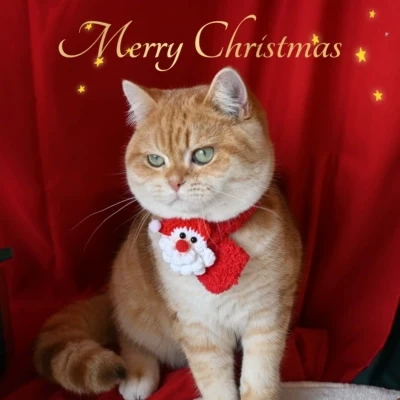 Pet Christmas Scarf