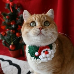 Christmas Green Bib