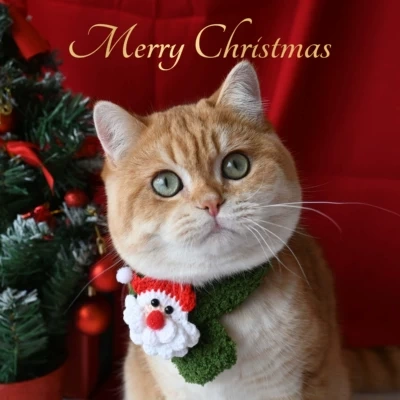 Pet Christmas Scarf