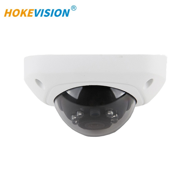 B206 Night View Vision Vehicle Inside Dome Camera,HONGXINTAI (Hokevision)