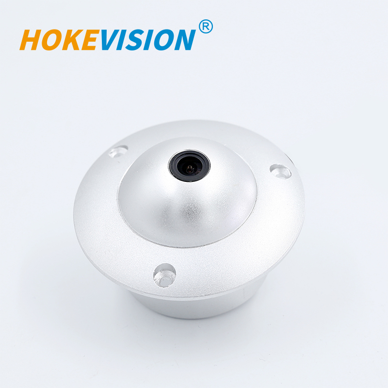 B207 Night View Vision Vehicle Inside Dome Camera,HONGXINTAI (Hokevision)