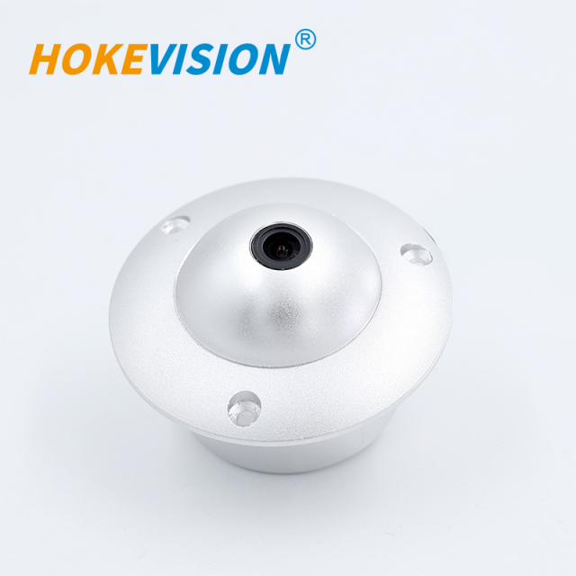 B207 Night View Vision Vehicle Inside Dome Camera,HONGXINTAI (Hokevision)