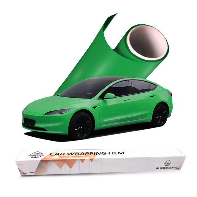 Wholesale Price Color Card TPU Series Hot Selling Colorful Lizard Green Paint Protection Film Color Changing Car Wrap Film