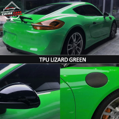 Wholesale Price Color Card TPU Series Hot Selling Colorful Lizard Green Paint Protection Film Color Changing Car Wrap Film