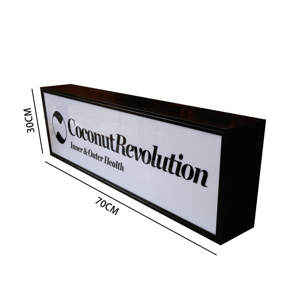 Double-Sided Light Box hanging Mounted Rectangular LED Light Box 30x70cm