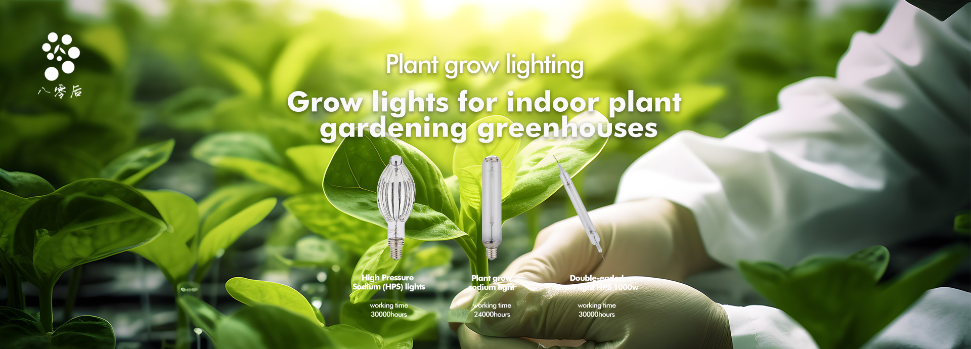 plant grow light