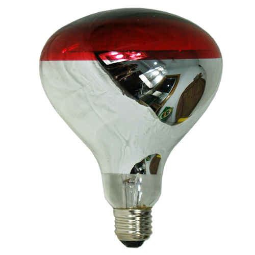 Boyu Lighting Red Infrared Heating Lamp Bulb R125 - Efficient &amp; Durable
