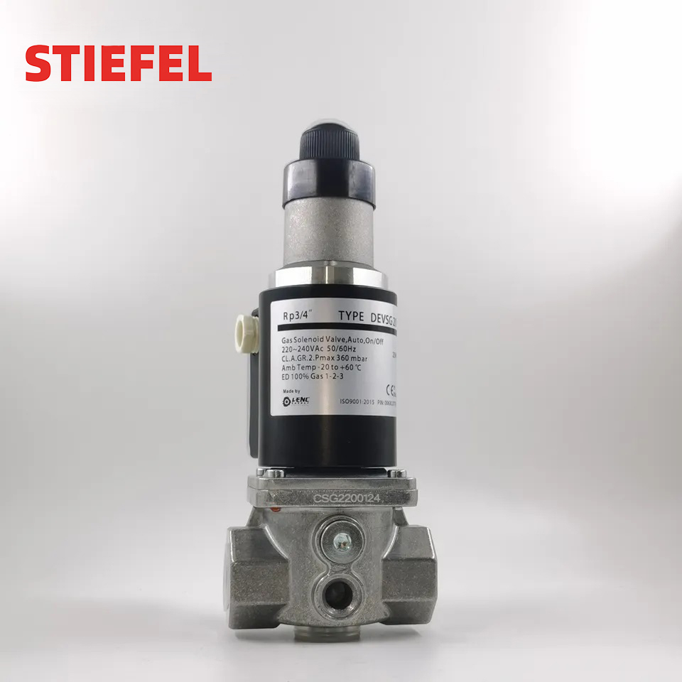 DEVSG series--Slow Opening and Fast Closing Gas Solenoid Valve