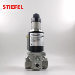 DEVSG series--Slow Opening and Fast Closing Gas Solenoid Valve