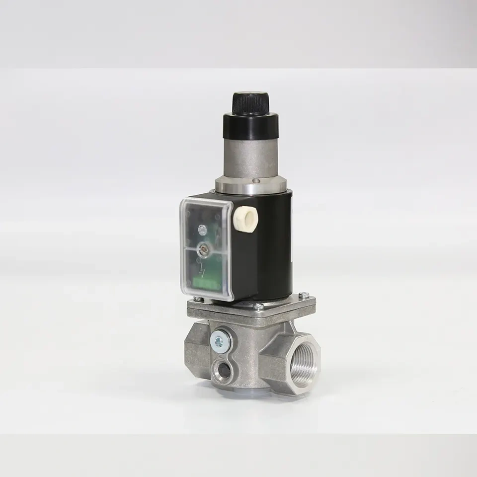 DEVSG series--Slow Opening and Fast Closing Gas Solenoid Valve