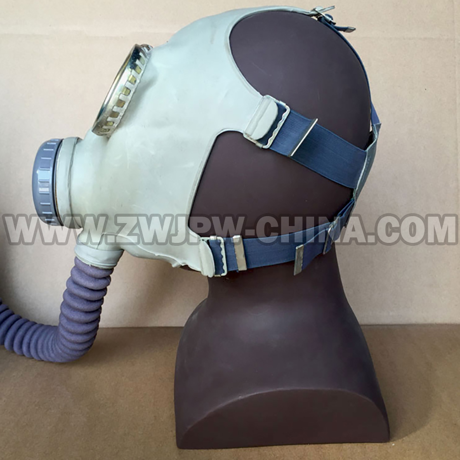China Army Original Gas Mask Type T1