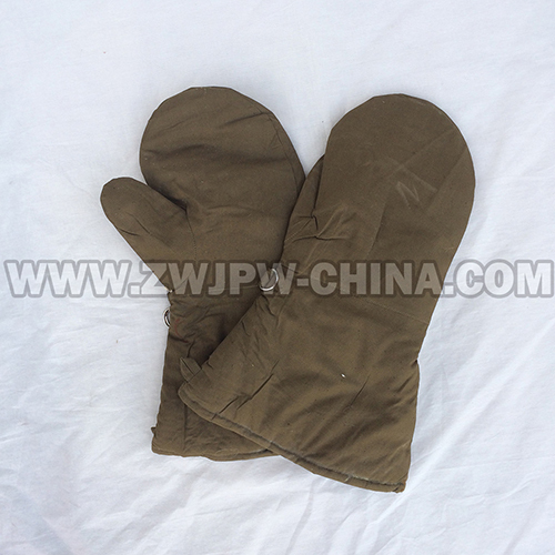 China Army Original Type 50 Gloves Chinese People's Liberation Army