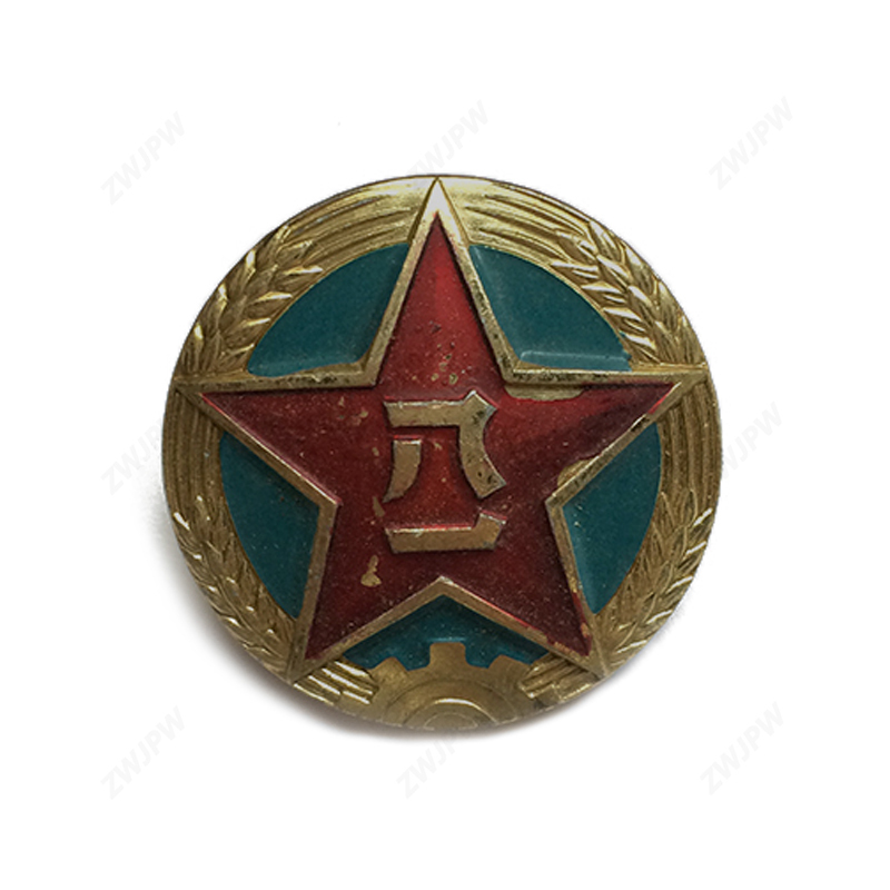 China Army Type 85 Land Force Big Brim Cap Badge Insignia Aluminum