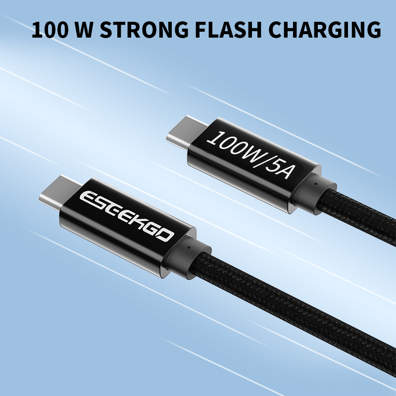 ESEEKGO PD-100  C-C 100W/5A Data Cable