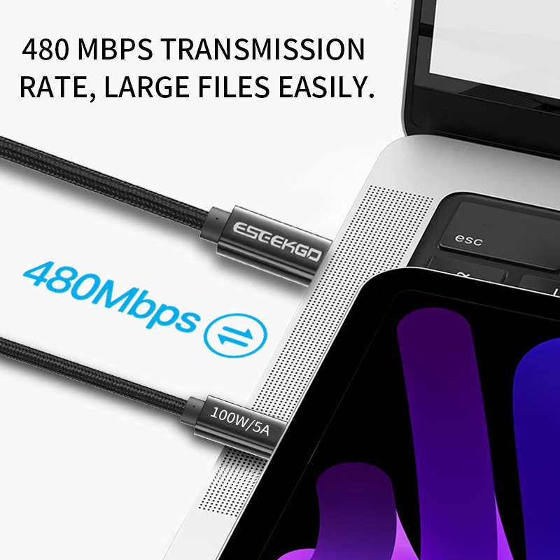 ESEEKGO PD-100  C-C 100W/5A Data Cable