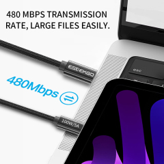 ESEEKGO PD-100  C-C 100W/5A Data Cable