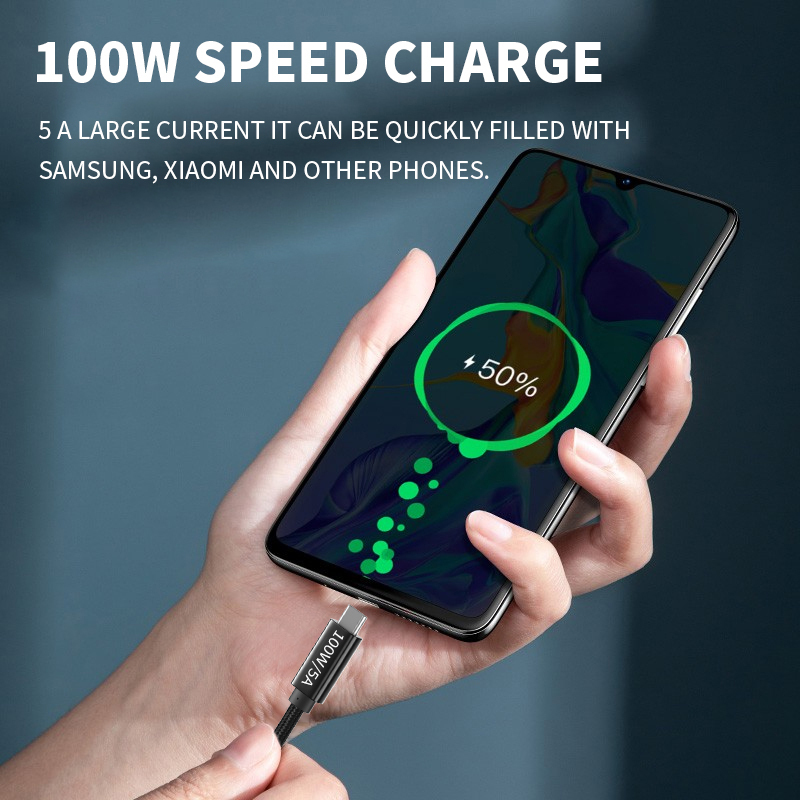 ESEEKGO PD-100  C-C 100W/5A Data Cable