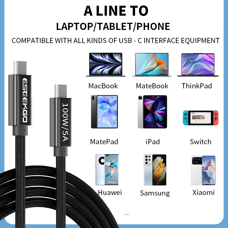 ESEEKGO PD-100  C-C 100W/5A Data Cable