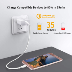 ESEEKGO QC-06 SET QC3.0 18W USB Travel Adapter With 3.3FT Micro / 8 pin / Type-C Charging Cable（18W / US）