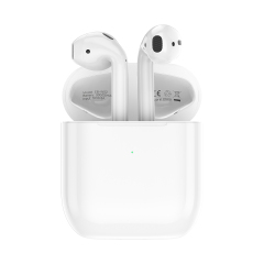 ESEEKGO EB-W02 Ture Wireless Stereo Earbuds 2