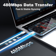 ESEEKGO G-04AW 3.0A 3.3FT Type-C to 8PIN Charging Data Cable