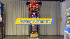 Boxing Ultimate Punch Machine