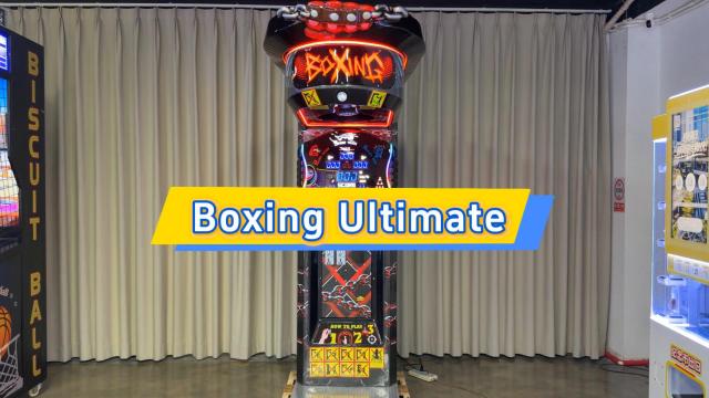 Boxing Ultimate Punch Machine