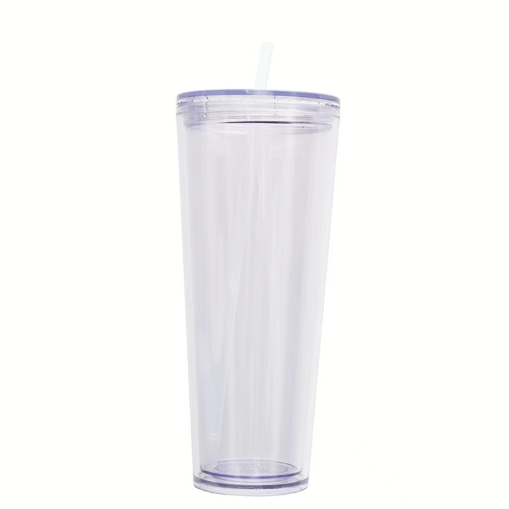 CHINESE WAREHOUSE 24oz Snow Globe Double-Wall Acrylic Tumbler With Straw