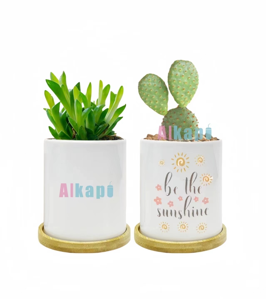 CHINESE WAREHOUSE 11oz Sublimation Blank Ceramic Flower Pot