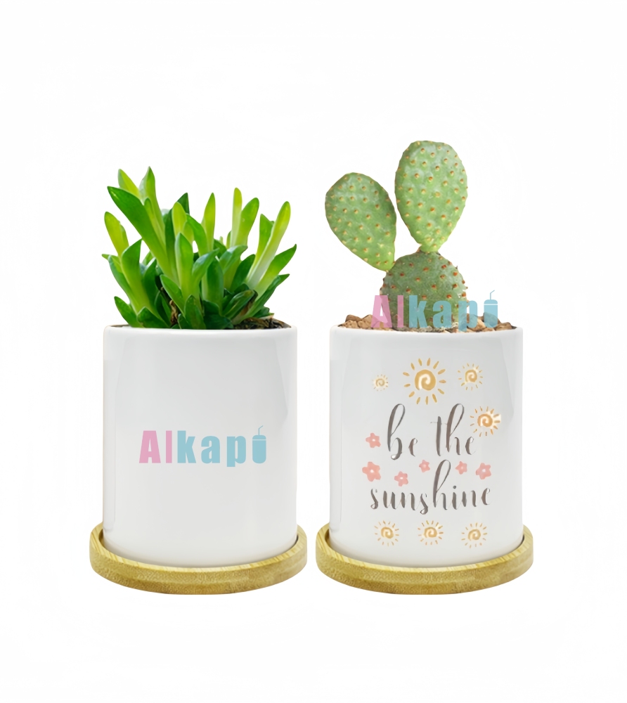 CHINESE WAREHOUSE 11oz Sublimation Blank Ceramic Flower Pot