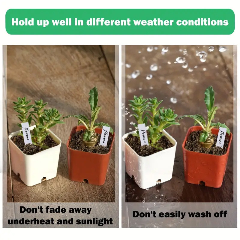 CHINESE WAREHOUSE Waterproof Plant Labels Special For Potted Plants