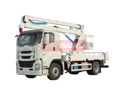 Platform Lift Truck ISUZU