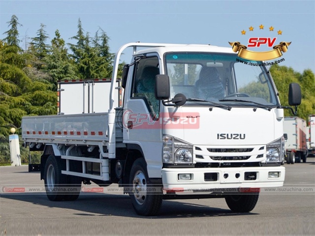 Cargo Hauling Truck ISUZU
