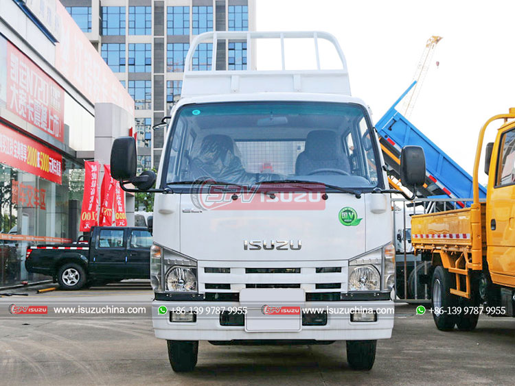 ISUZU 100P Tipper Lorry - Front Side