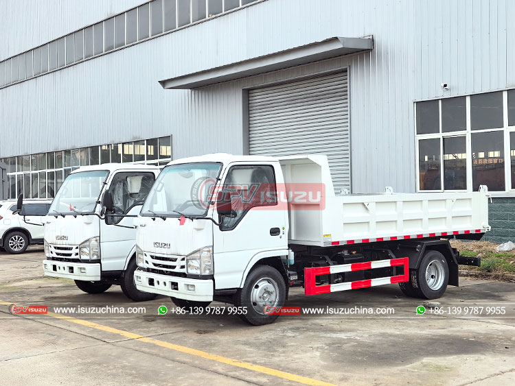 ISUZU 100P Light-duty Tipper Truck-Front Left Side