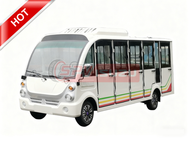 Sightseeing Car