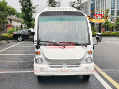 Sightseeing Car
