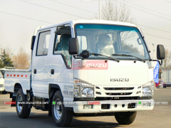 4 Wheeler Cargo Delivery Truck