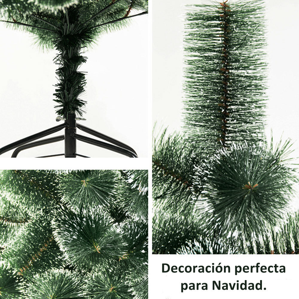SDS113  CM-TOP