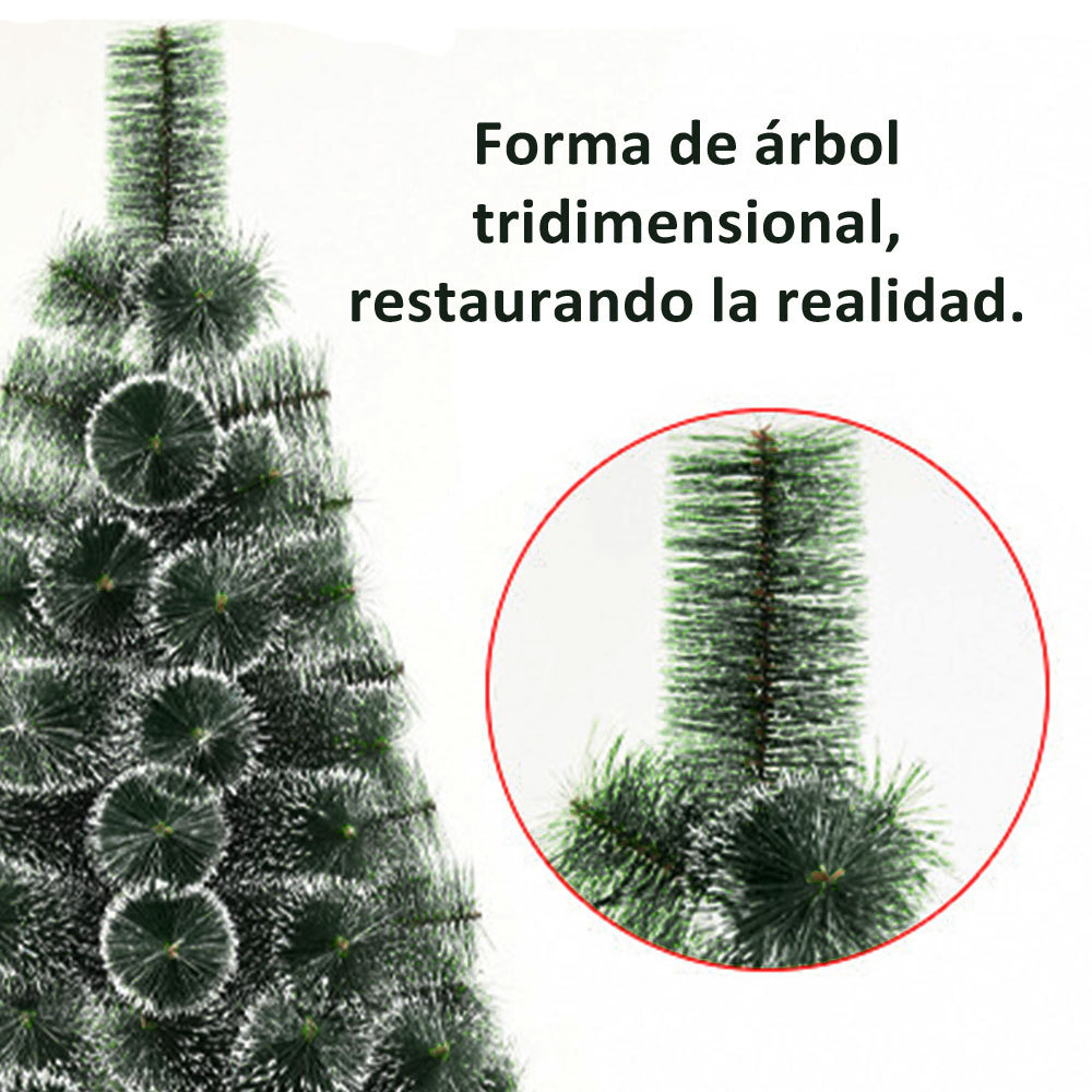 SDS113  CM-TOP