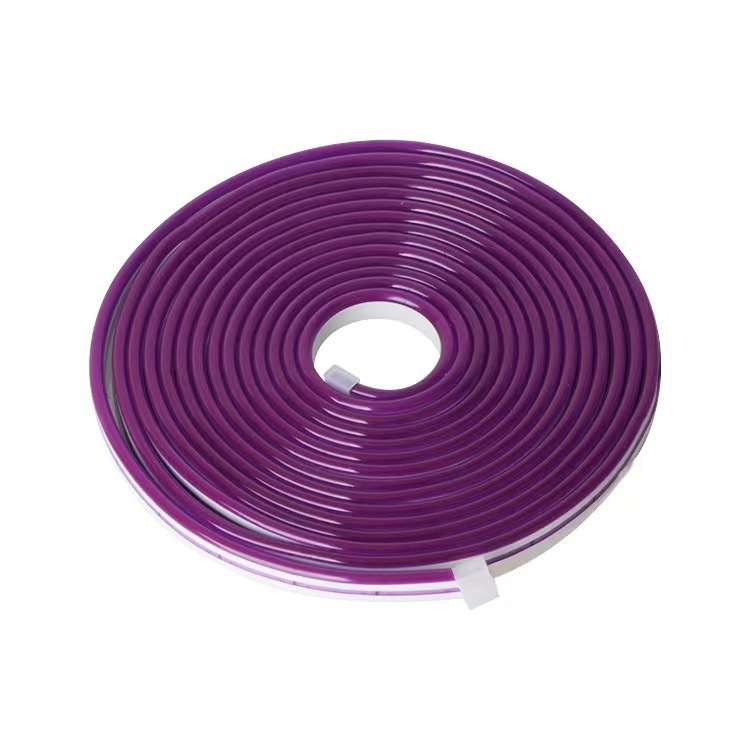 Tira Led Luces Neón Flexible 5m 12v Decorativa Luz IP65